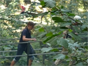 2011-08-21 Teufelsschlucht21